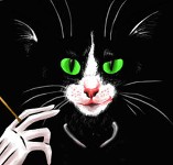 cat