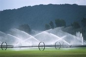 Irrigation System Watering Crops